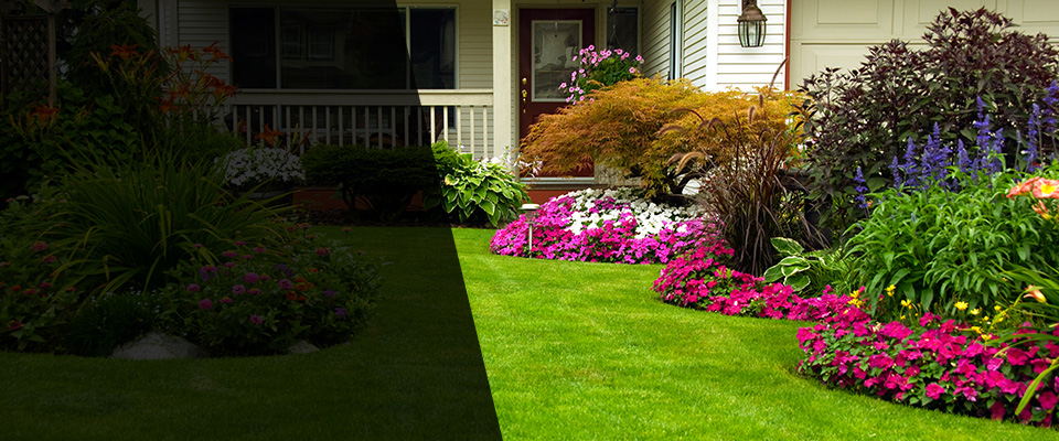 Tamaqua Landscapers